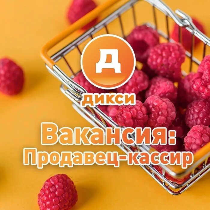 Продавцы дикси. Дикси продавец. Кассир Дикси. Кассирша Дикси. Дикси продавец кассир вакансия.