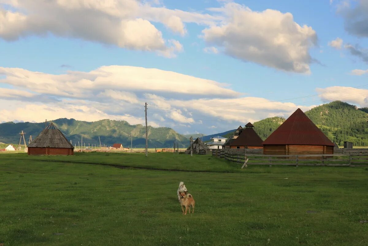 село усть-кан республика алтай животноводства. выпускной усть кан. прогноз погоды в усть кане республики алтай. усть-кан республика алтай. прогноз погоды в усть кане республики алтай.