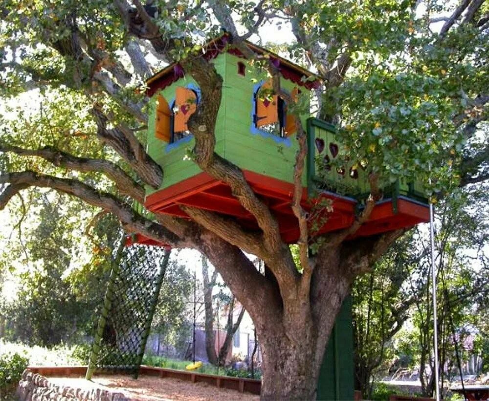 It s a tree house