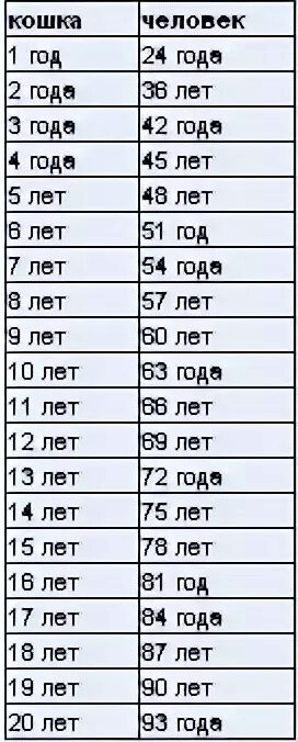 Возраст кошек в переводе на человеческий. Кошачьи года на человеческие. Кошачий Возраст. Кошачье года в человеческие мерки. Кошачий Возраст на человеческий.