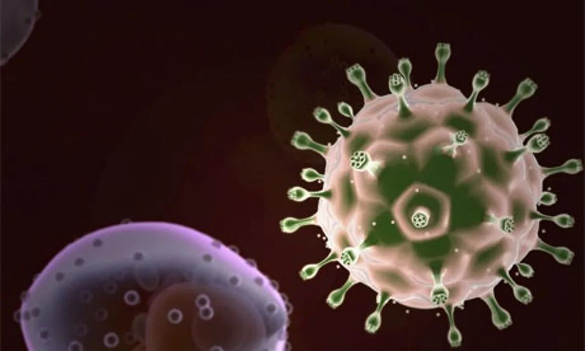 Вирус иммунодефицита под микроскопом. Вирус иммунодефицита человека (Human Immunodeficiency virus). Вирус СПИДА под микроскопом. Штаммы ВИЧ. Human immunodeficiency