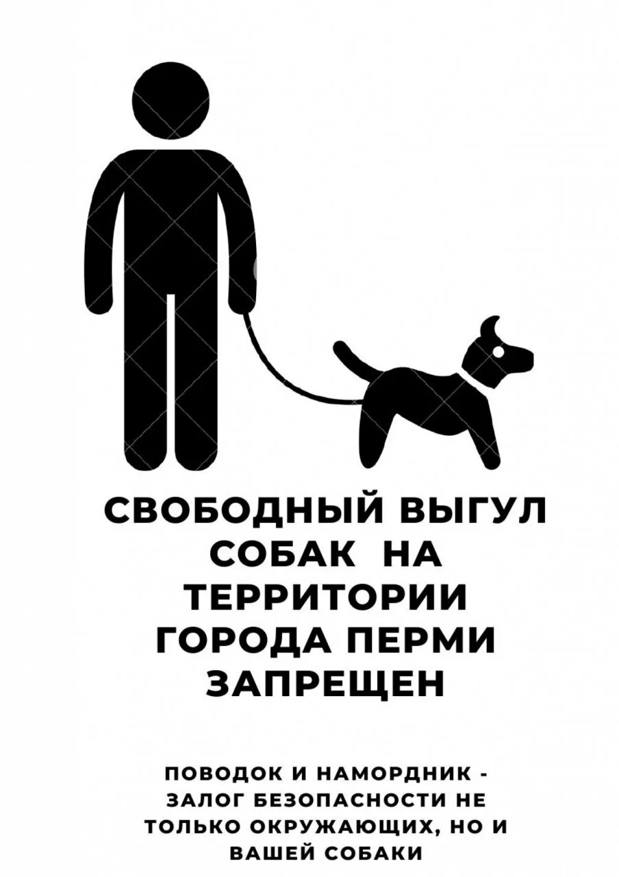 Выгул без поводка статья. Табличка выгул собак. Выгул собак объявление. Табличка о запрете выгула собак. Табличка выгул собак запрещен.