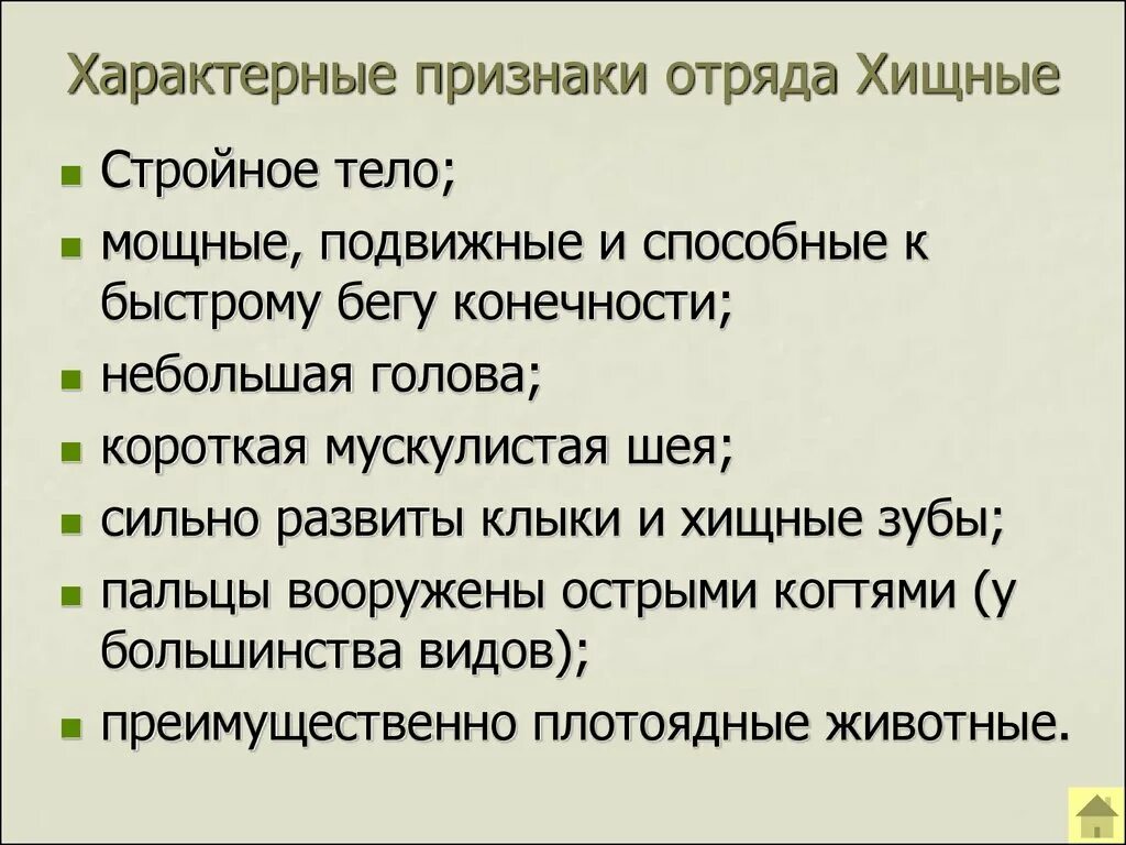 Отряд Хищные общая характеристика. Отряд Хищные признаки отряда. Характеристика отряда Хищные. Особенности строения хищных.