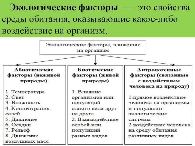 Экологические факторы. Этологические факторы. Экологические факторы среды. Влияние экологических факторов на организм человека.