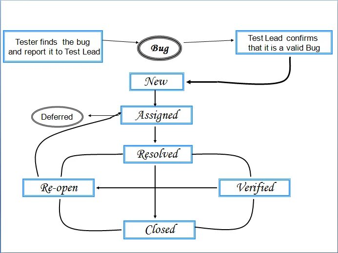 Схема Bug Life Cycle. Баг-репорты в тестировании это. Жизненный цикл баг репорта. Bug cicle.