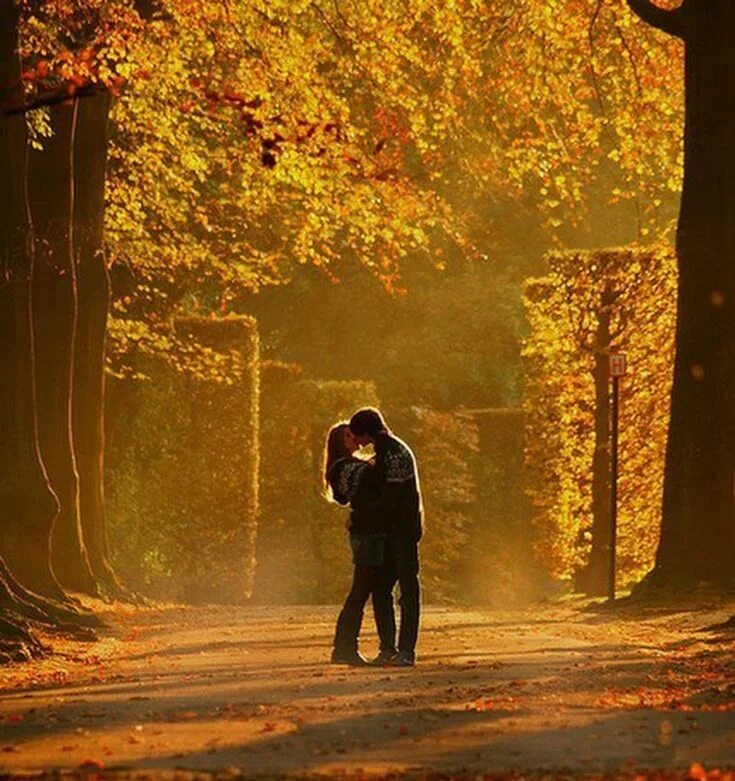 Гулять по аллее. Осень влюбленные. Осень пара. Парень и девушка осень. Осенняя прогулка.