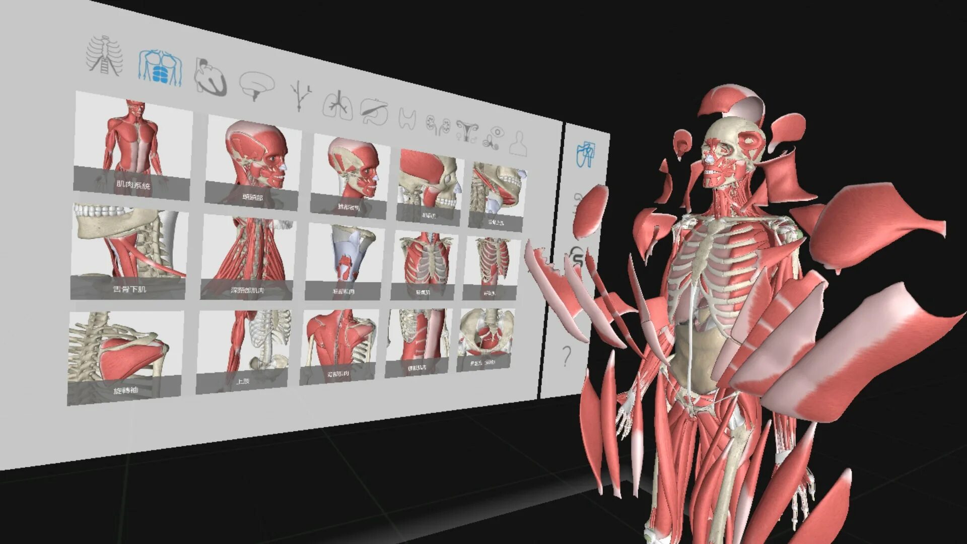 3d Organon VR Anatomy. Виртуальная анатомия Virtual Anatomy. Виртуальные анатомические атласы. Цифровая анатомия человека.