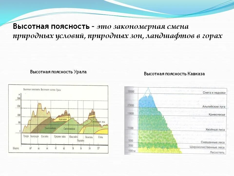 Урок высотная поясность 8 класс