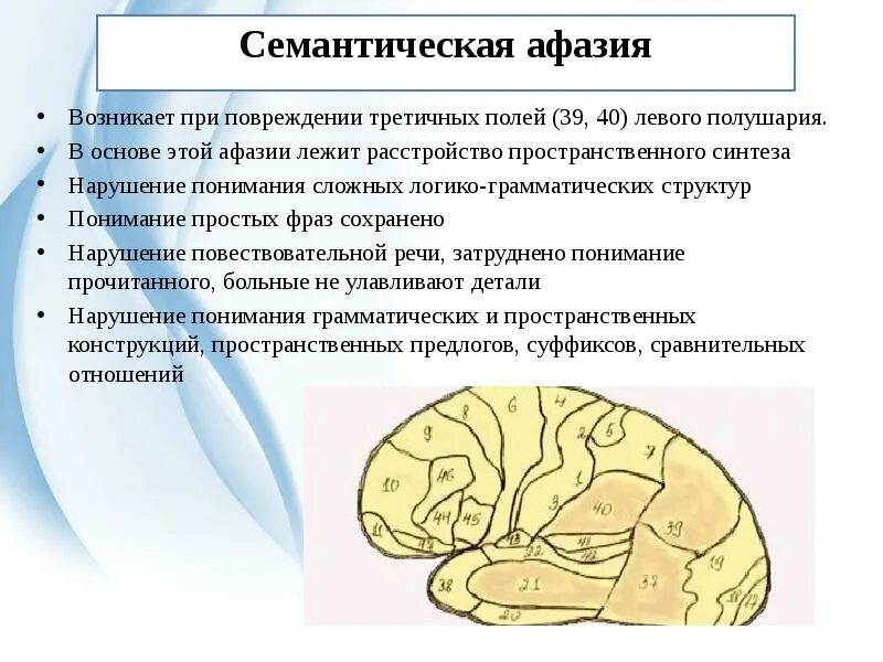 Формы афазии по лурия. Сенсорная афазия локализация поражения. Семантическая афазия симптомы. Локализации поражения головного мозга при афазии. Слухоречевая афазия.