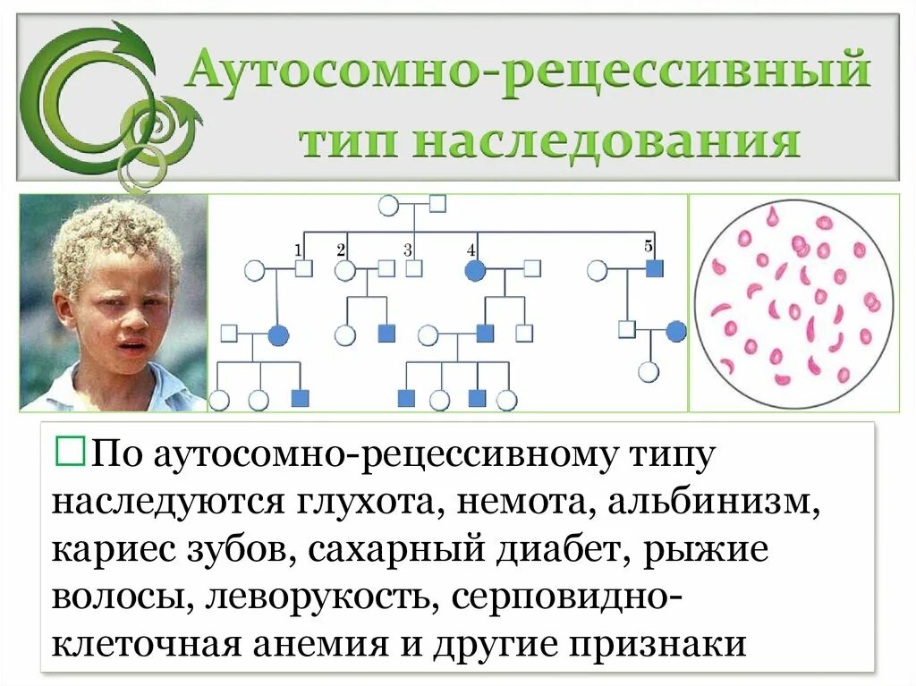 Аутосомное наследование пример. Аутосомно рецессивный Тип болезни. Аутосомно-рецессивный Тип наследования. Аутосомно-рецессивный Тип наследования схема. Аутосомный рецессивный Тип наследования.