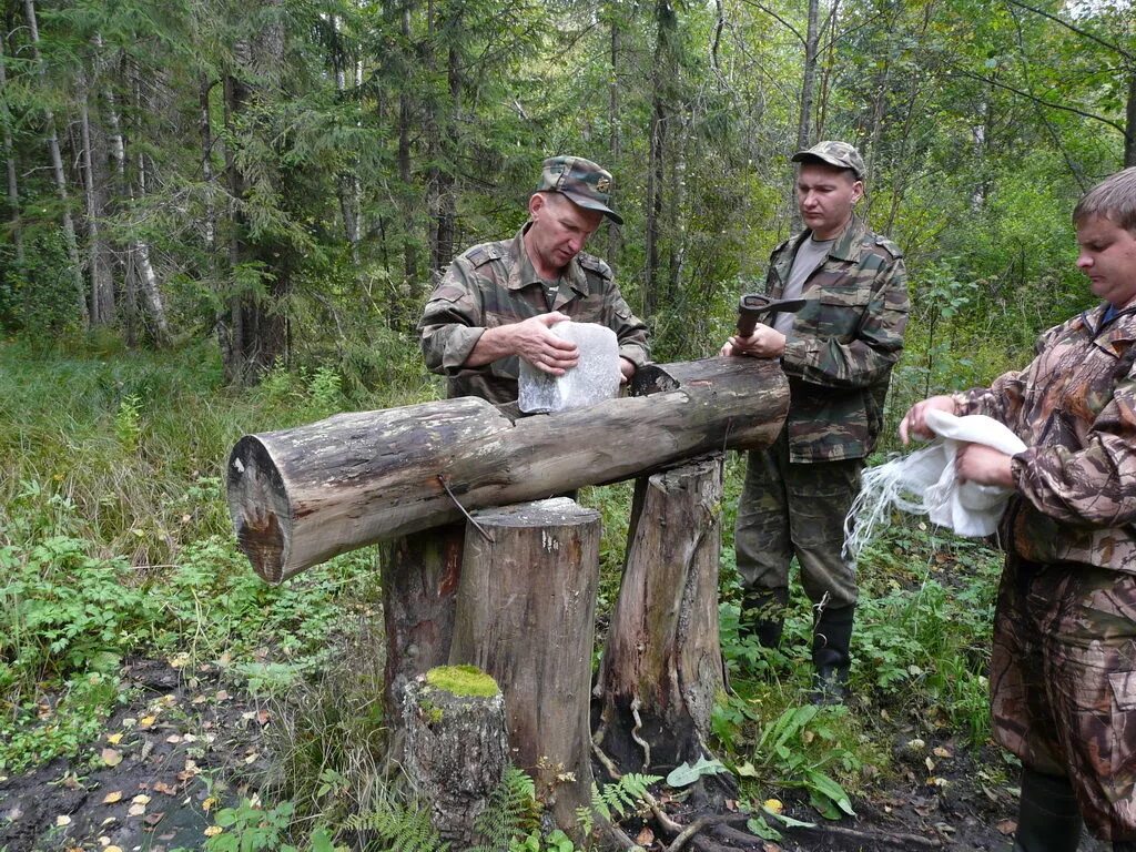 Солонцы для животных. Солонцы охотничьи. Солонцы для копытных. Солонец для лося