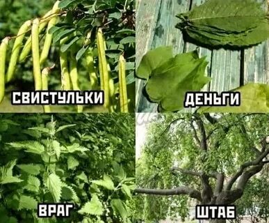 В детстве все было проще