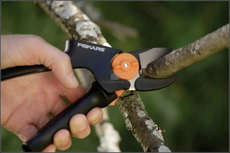 Секатор для деревьев. Секатор фискарс. секатор садовый fiskars. фискарс секатор для деревьев. секатор fiskars р521.
