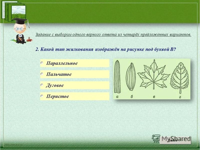 Рассмотрите изображение и выберите верный ответ