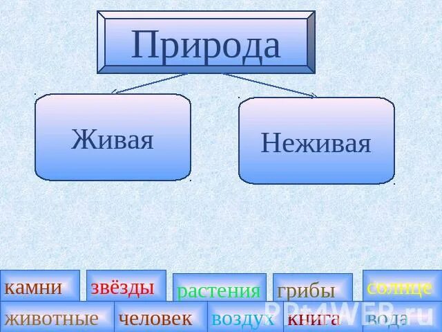 Зима живая и неживая. Живая и неживая природа. Таблица Живая и неживая природа. Живая или неживая природа. Живая и неживая природа зимой.