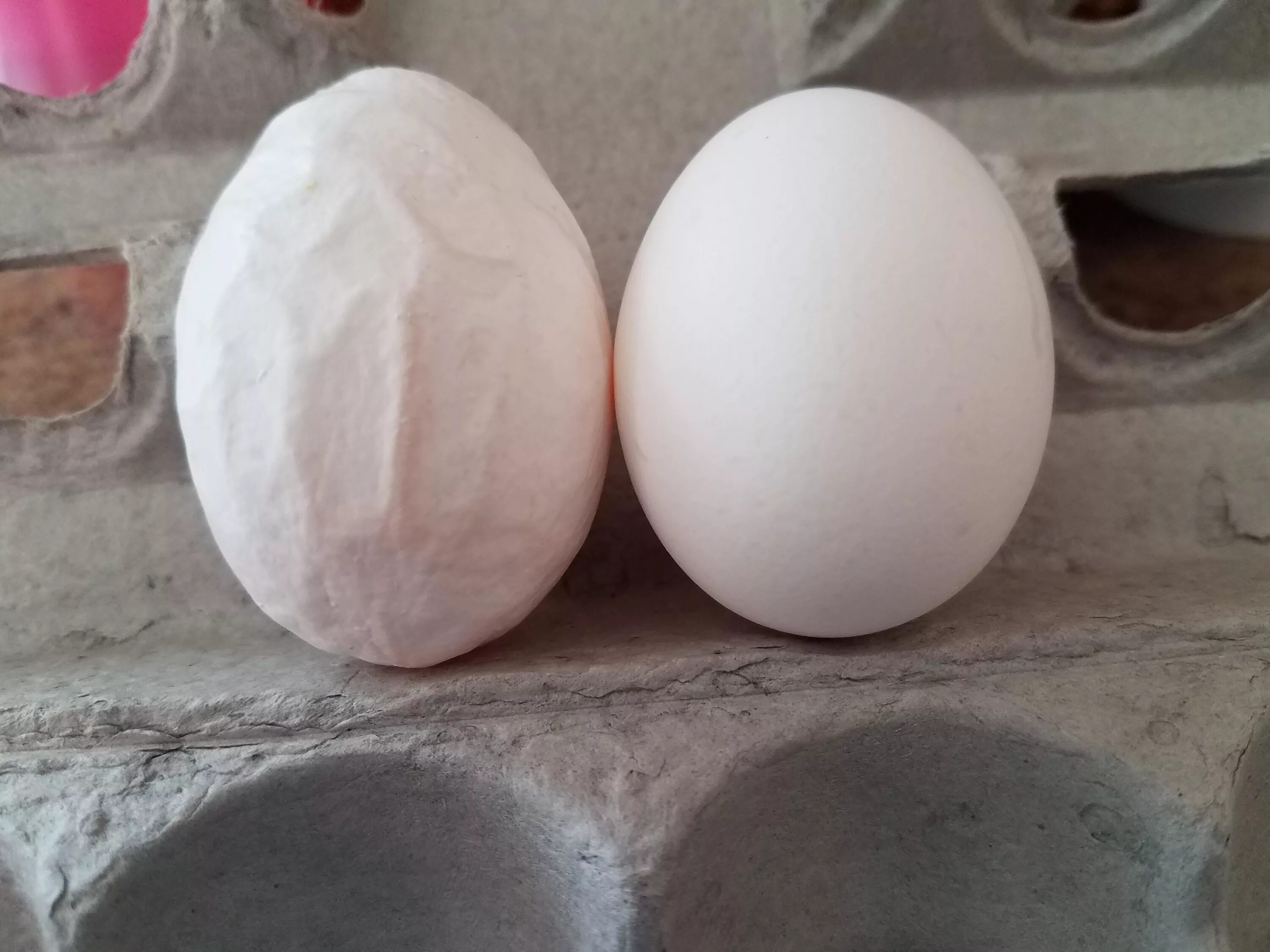Купить челябинское яйцо. Необычные куриные яйца. Яйца необычной формы. Самые необычные яйца.