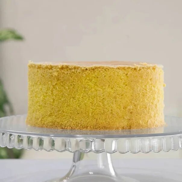 Торт из желтков. Бисквит из желтков. Торт на желтках. Бисквит на желтках для торта пышный. Нежнейший бисквит из желтков.