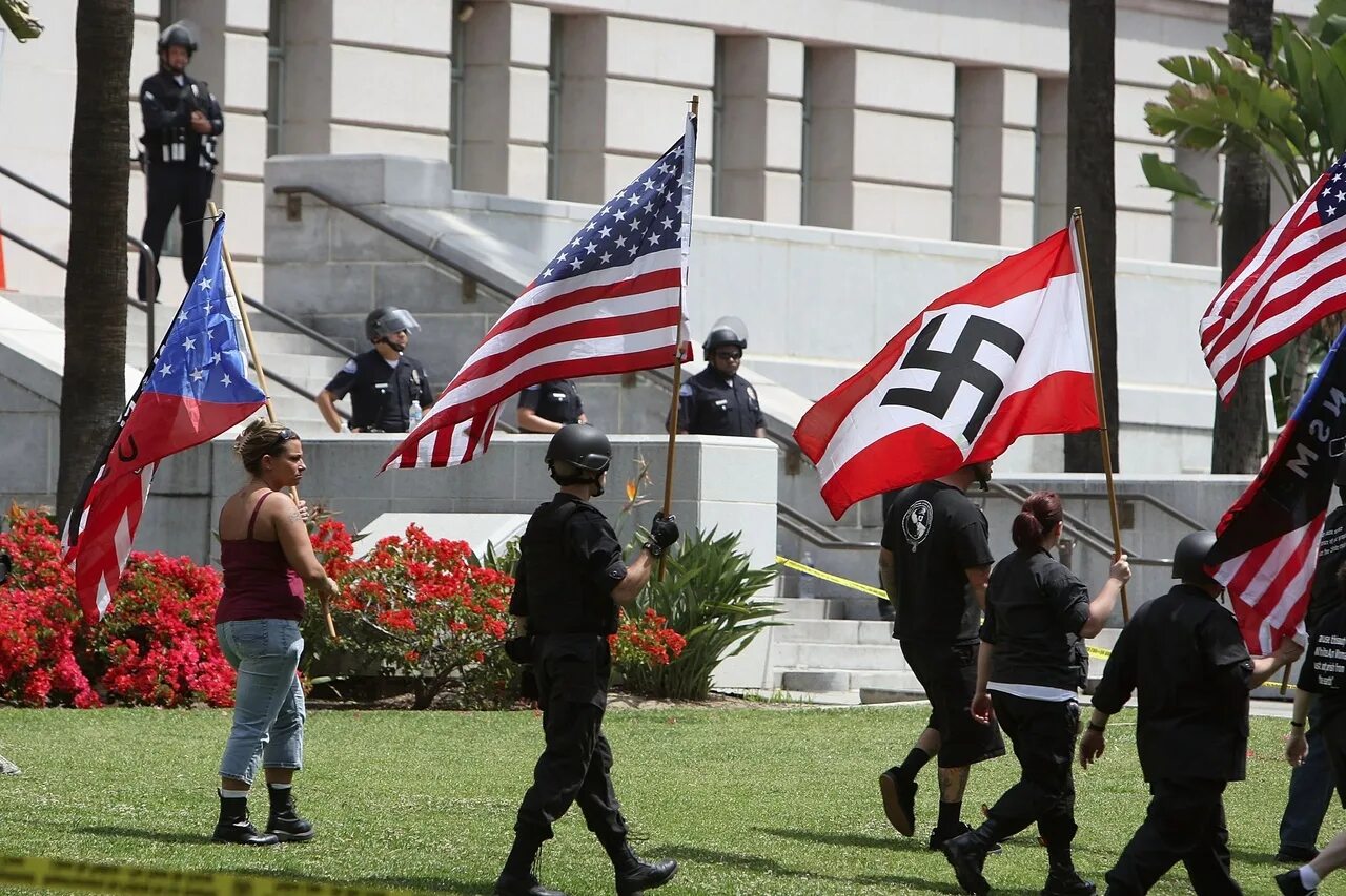 Поддержка нацизма. Фашистская партия сша. Нацистская партия сша. Поддержка нацизма. Американские национал социалисты.