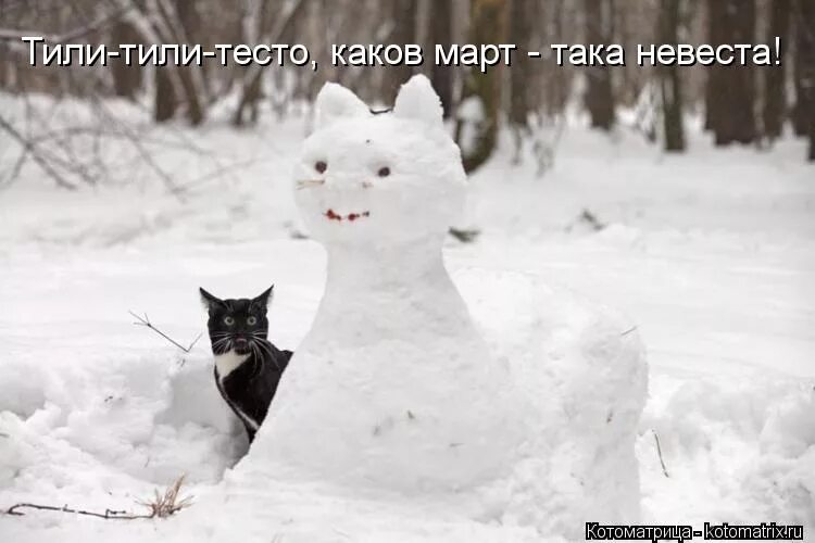 Картинки от которых можно упасть в обморок. Что она вот такая. Прикольные фото с текстом. Котики с надписями. Что она вот такая.