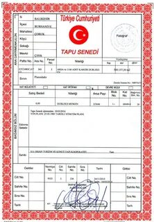 Турция какие документы