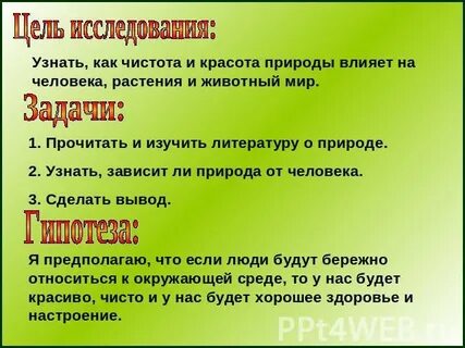 Цель дикого