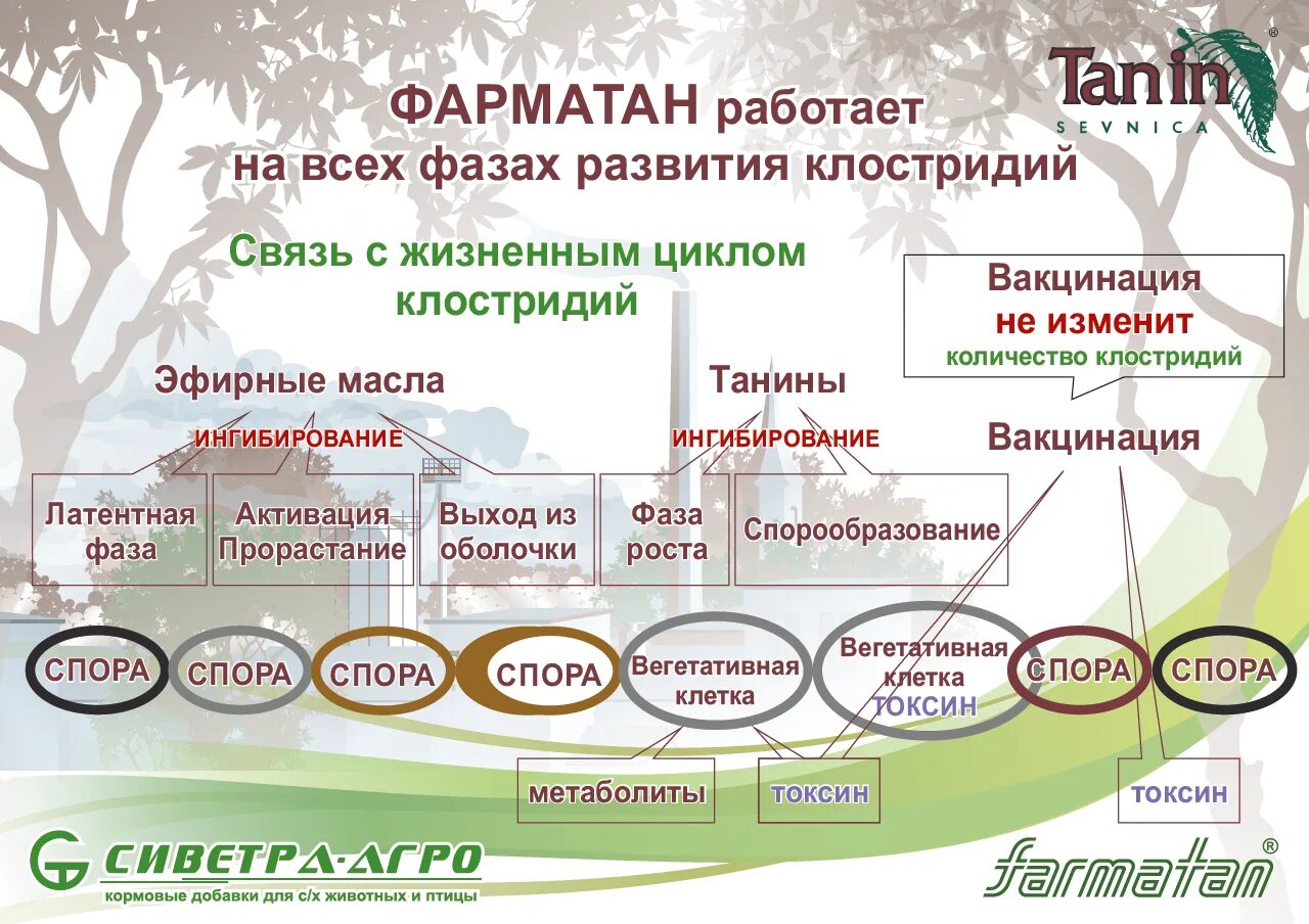 Фарматан. Фарматан жидкий. Фарматан. Фарматан. Фарматан жидкий.