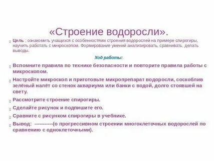 Установите соответствие особенности строения водоросли
