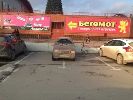 Бегемот омск
