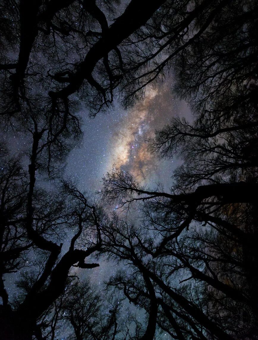 лучи солнца в лесу. поле ночью. мрачные фотосессии. атмосферные обои. в поле.