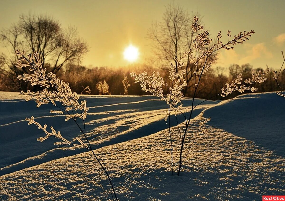 хогарт модный брак. зимний дворец екатерины 2. мария антоновна алексеевна. исполнился вскоре. исполнился вскоре.