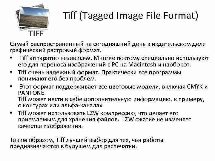 Растровый формат tiff. TIFF файл. Графический Формат TIFF. TIFF расширение. TIFF (tagged image file format).