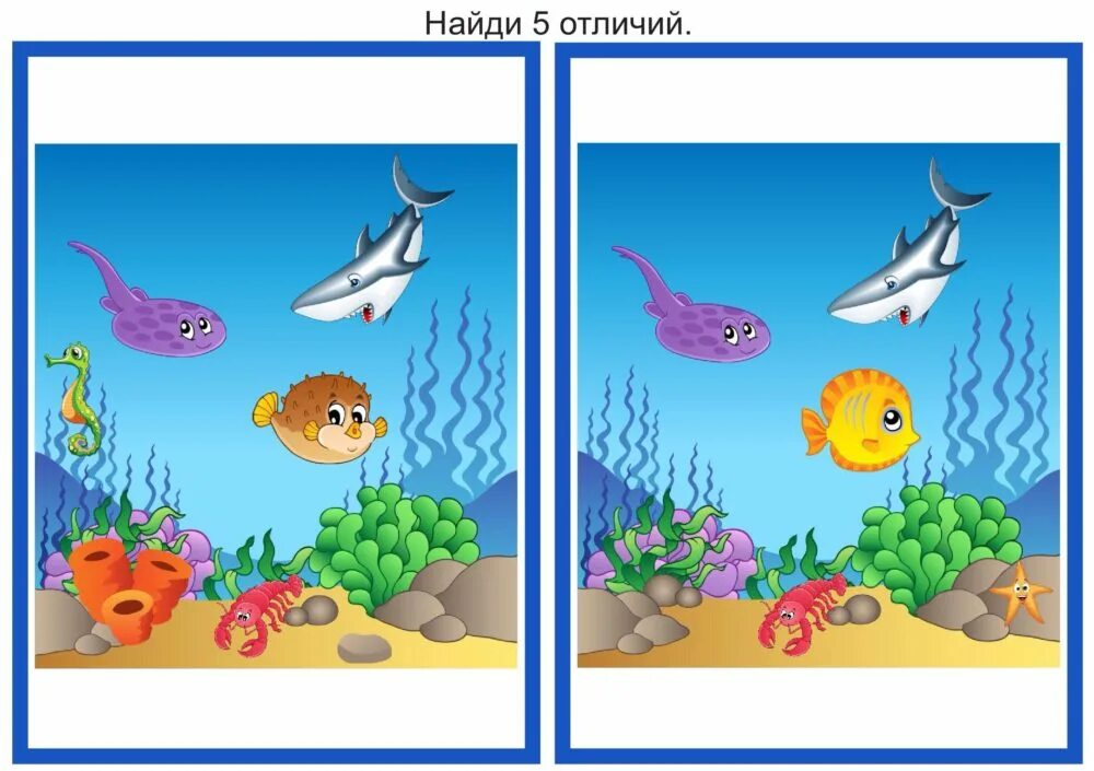 Задание найди отличие для детей. Найди отличия. задания с рыбками для дошкольников. изображение рыбы для детей дошкольного возраста. найди отличия для дошкольников.
