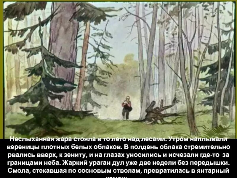 Пришвин заячьи лапы. К. Паустовский "заячьи лапы". Иллюстрация к рассказу заячьи лапы. Неслыханная жара стояла в то лето над лесами. Найдите в тексте рассказа заячьи лапы