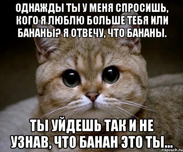 Говори что нибудь спрашивай