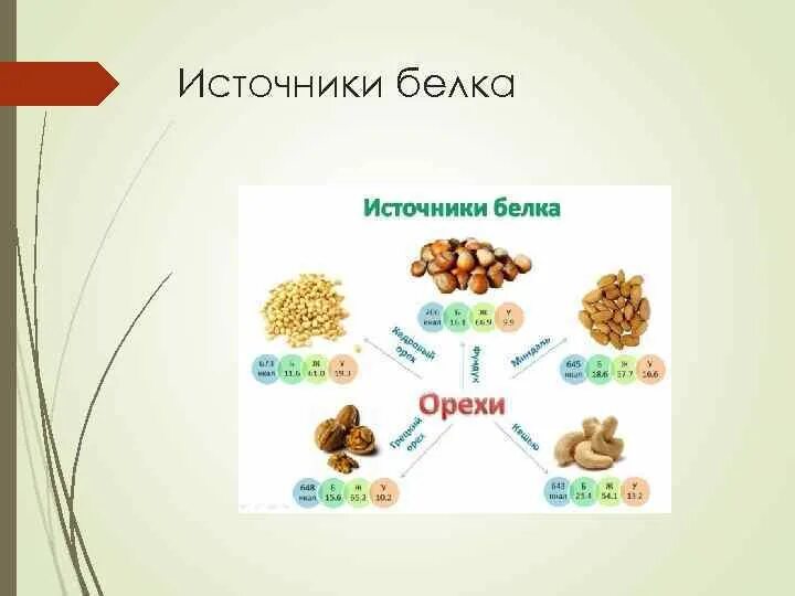 В орехах много белка. Источники белка. Источники белков. Орехи источник белка. Источник белка иконка.