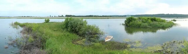 Курчатовское водохранилище: найдено 90 картинок