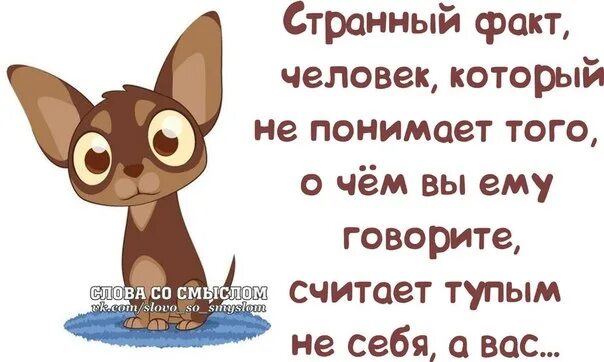 Глупый считаться. Странный факт но человек который. Странный факт человек который не понимает. Странные факты о человеке. Факты о человечестве.