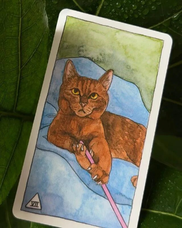 Таро котики значение. Таро котики значение