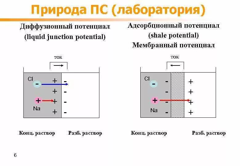 Диффузный и мембранный потенциалы. Механизм возникновения диффузного потенциала. Диффузионно адсорбционный потенциал. Диффузионный и мембранный потенциалы. Диффузионный потенциал