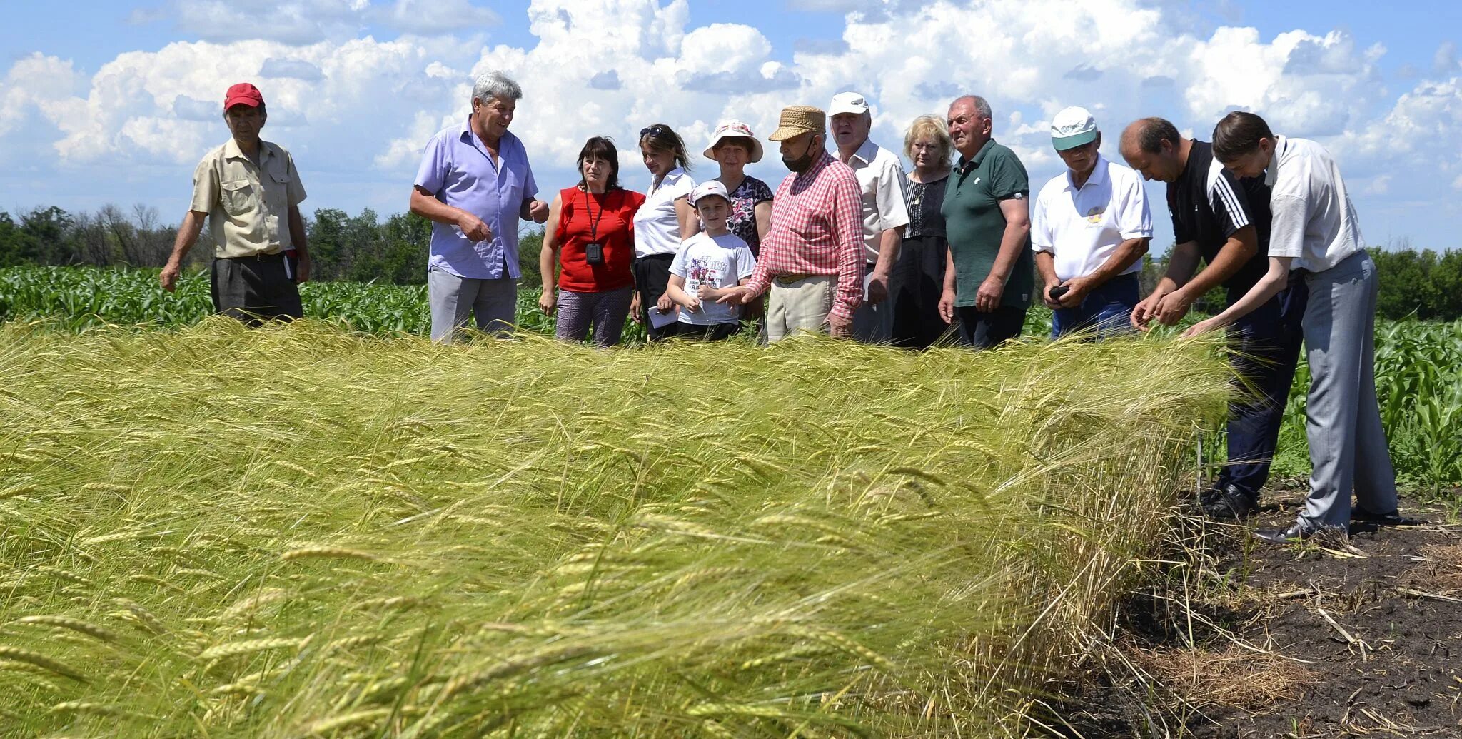 Акт внутренней приемки результатов изысканий. Акт приемки полевых работ. Снодарский научный. Эксперимент в агрономии это. Приемка опытов в башкирском ниисх.