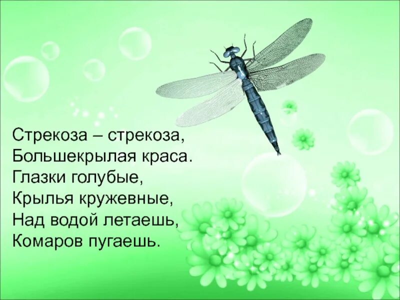 Докажите что голубая стрекоза это образ символ. Стрекоза. стих про стрекозу. детские стихи про стрекозу. стих про стрекозу для детей 3-4 лет.