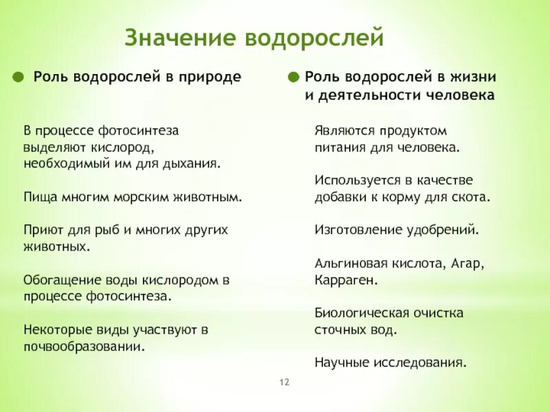 Верные признаки водорослей. Значение водорослей в природе и жизни человека 5 класс биология. Значение водорослей в природе и жизни человека 5 класс. Значение водорослей в природе и жизни человека 6 класс биология. Значение водорослей 5 класс биология.