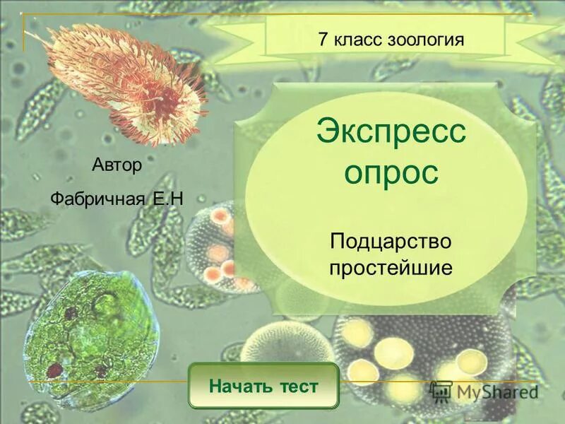 Тест простейшие 8 класс