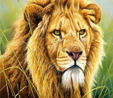 King of beasts