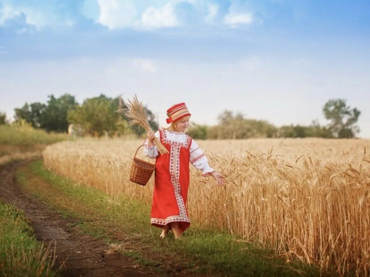 Собирают люди хлеб. Девушка в поле с хлебом. Русское поле. Хлеб в поле. Фотосессия на хлебном поле.