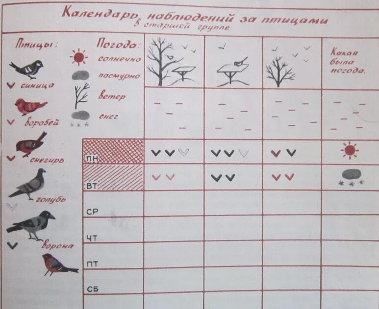 Наблюдение за погодой в старшей группе. Календарь наблюдений за птицами ростом растений. Календарь наблюдения за птицами. Календарь наблюдений за природой. Календарь наблюдений в детском саду.