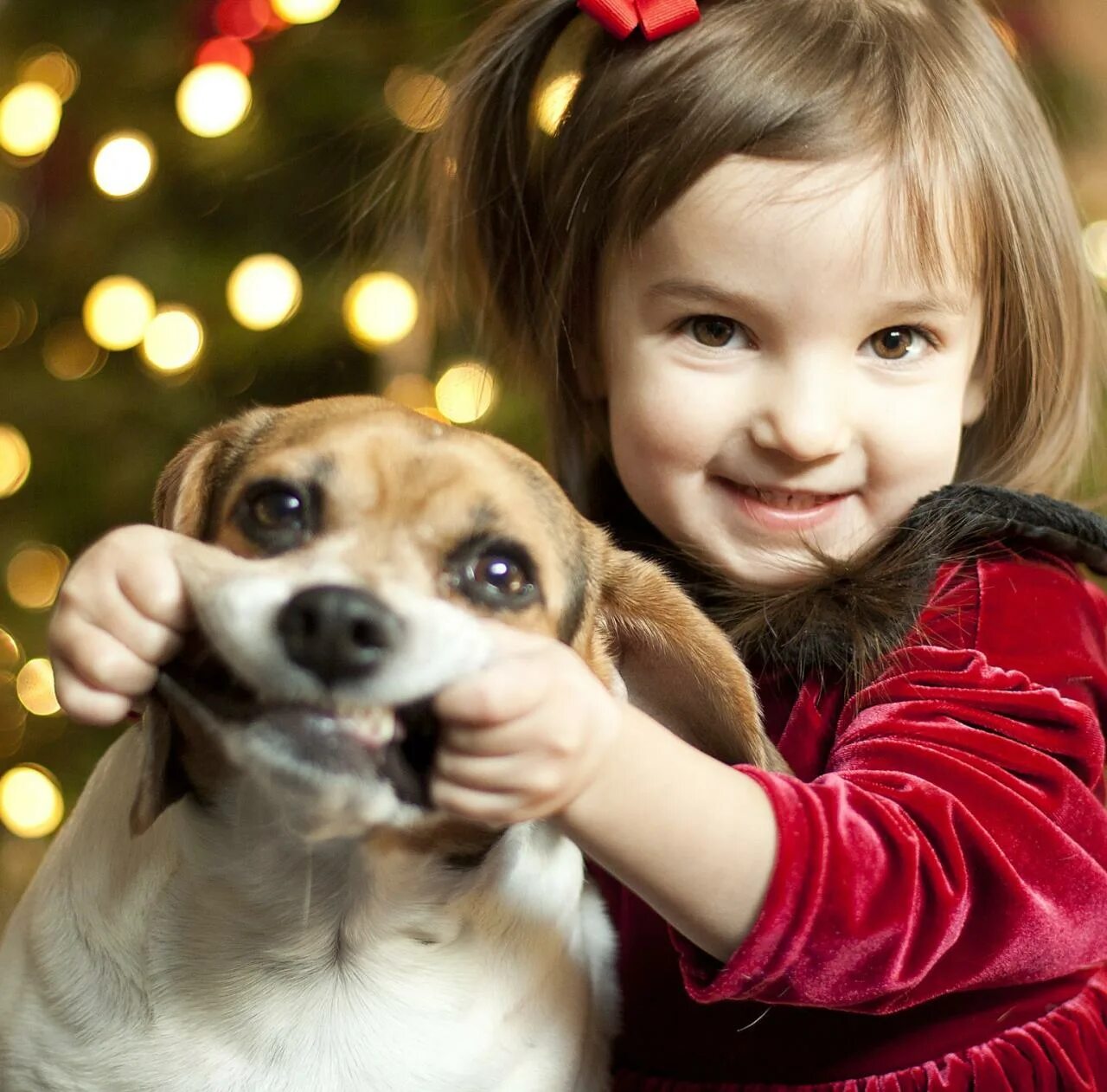 Девочка с собакой. Фотосессия с доберманом. Собака заставь девочку. Собака заставь девочку. Дети с животными.