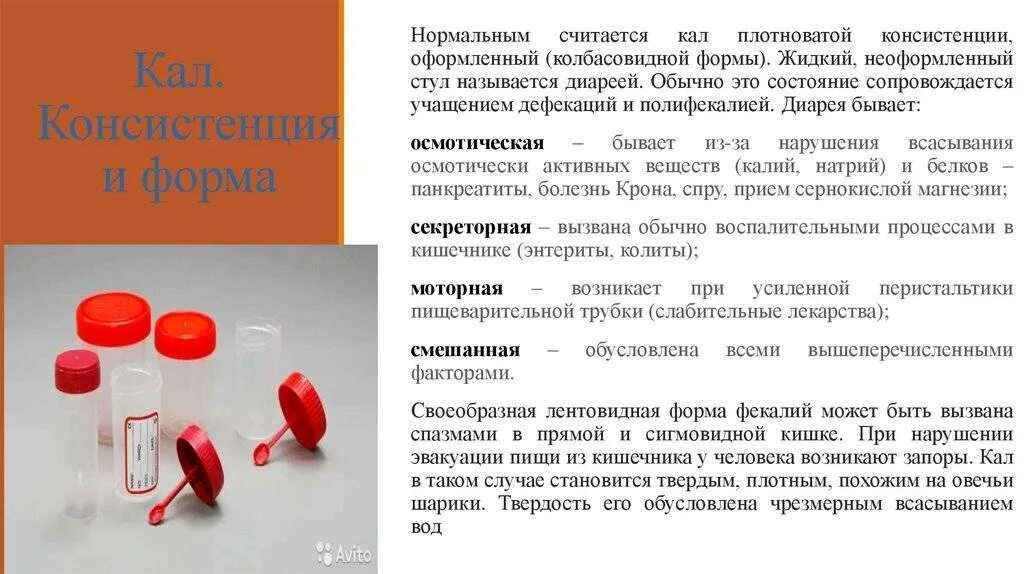 Взятие мочи кала для лабораторного исследования. Правила сбора кала , мокроты на исследования.. Сбор мочи на исследование кала. Сбор кала для лабораторного исследования алгоритм.