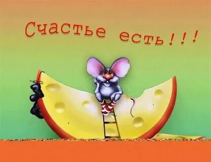 Видео прикольные с пожеланием добра