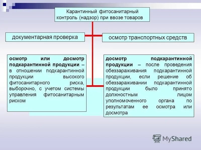 фитосанитарный контроль для презентации. карантинный фитосанитарный контроль (надзор). санитарные ветеринарно-санитарные и карантинные фитосанитарные меры. государственный карантинный фитосанитарный контроль надзор. фитосанитарный контроль алгоритм.